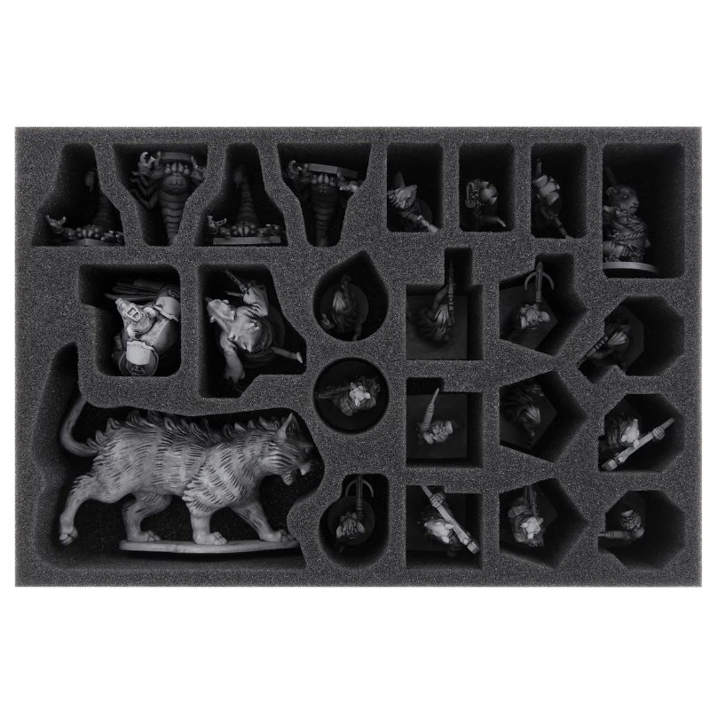 Feldherr Foam Insert Aftermath – Inserts 4 Feldherr Foam Insert Aftermath – Inserts - Afbeelding 2