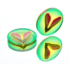 E-Raptor Photosynthesis Token Set – Accessoires